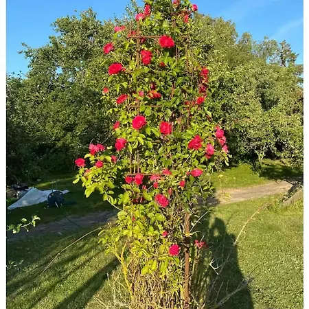 Skon Perle Midt I Naturen Πανσιόν Munke Bjergby